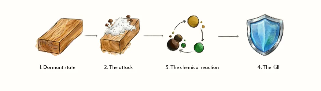 Image: benefits of our treatment image